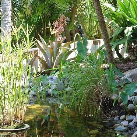 Boaters Bayshore Bungalow North North Naples Εξωτερικό φωτογραφία